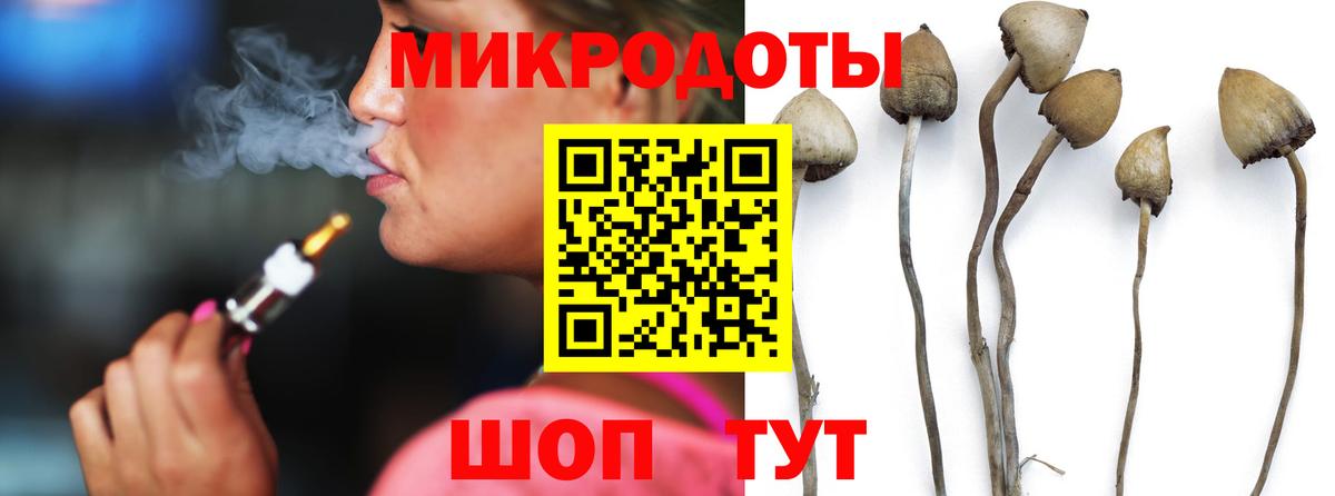 Псилоцибиновые грибы Cubensis Камышин
